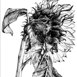 263x263 Drawing And Painting - College Drawing