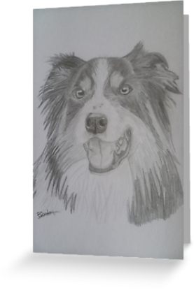 277x415 tipple border collie drawing greeting cards - Collie Drawing