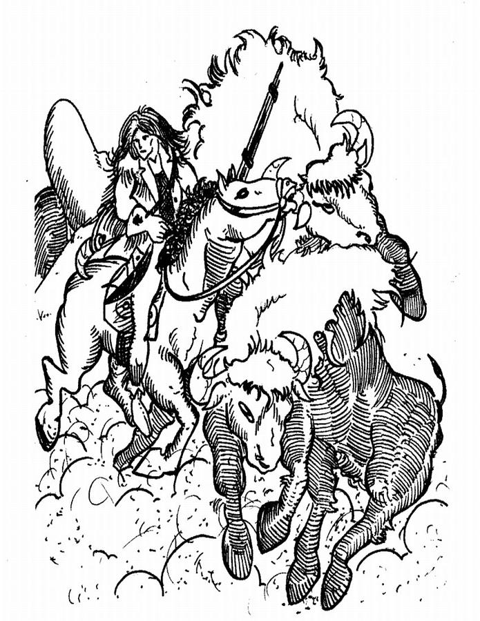 695x900 to avoid a collision drawing - Collision Drawing