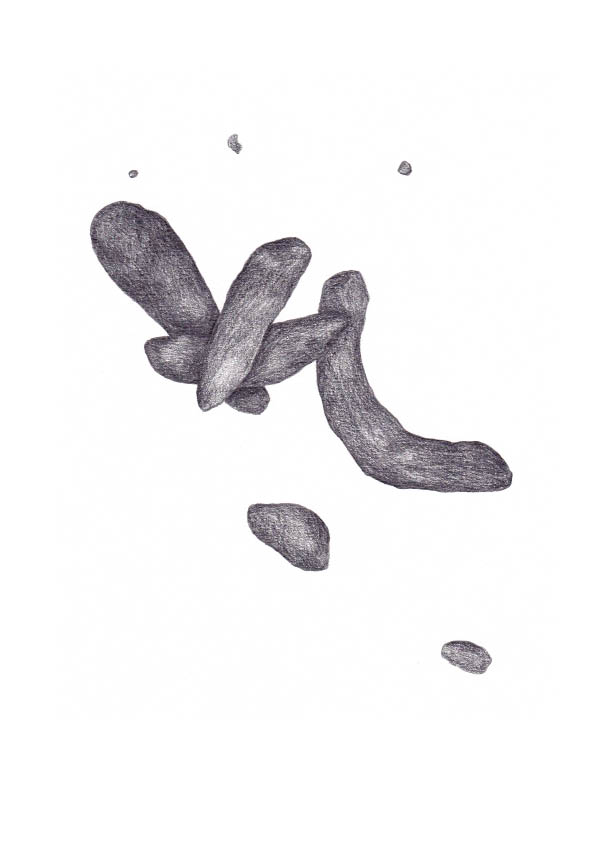 595x842 mish meijers drawing + other semi colon - Colon Drawing