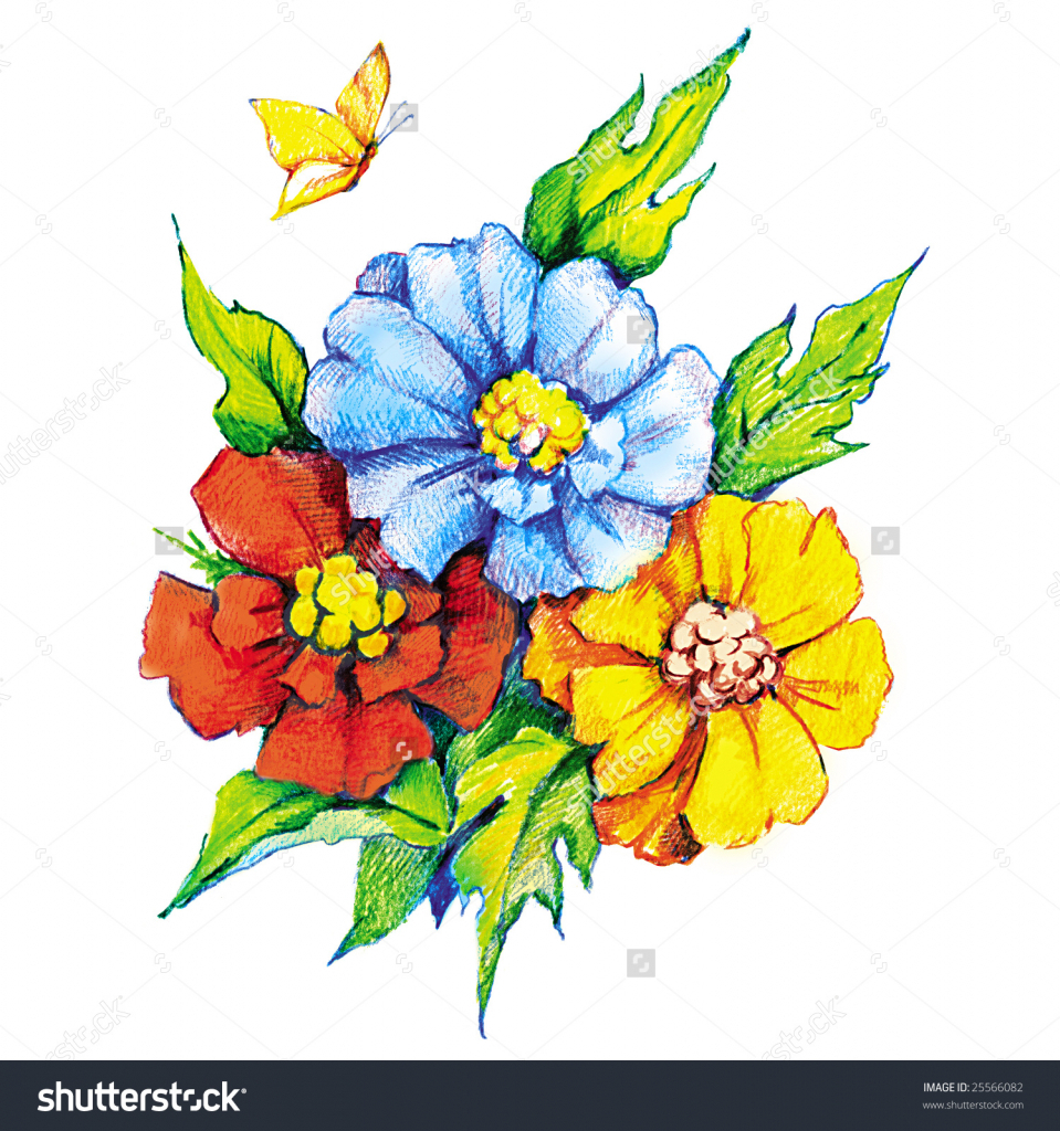 959x1024 Flower Color Drawing And Drawings Of Flowers With Color Flower - Color Drawing Flowers