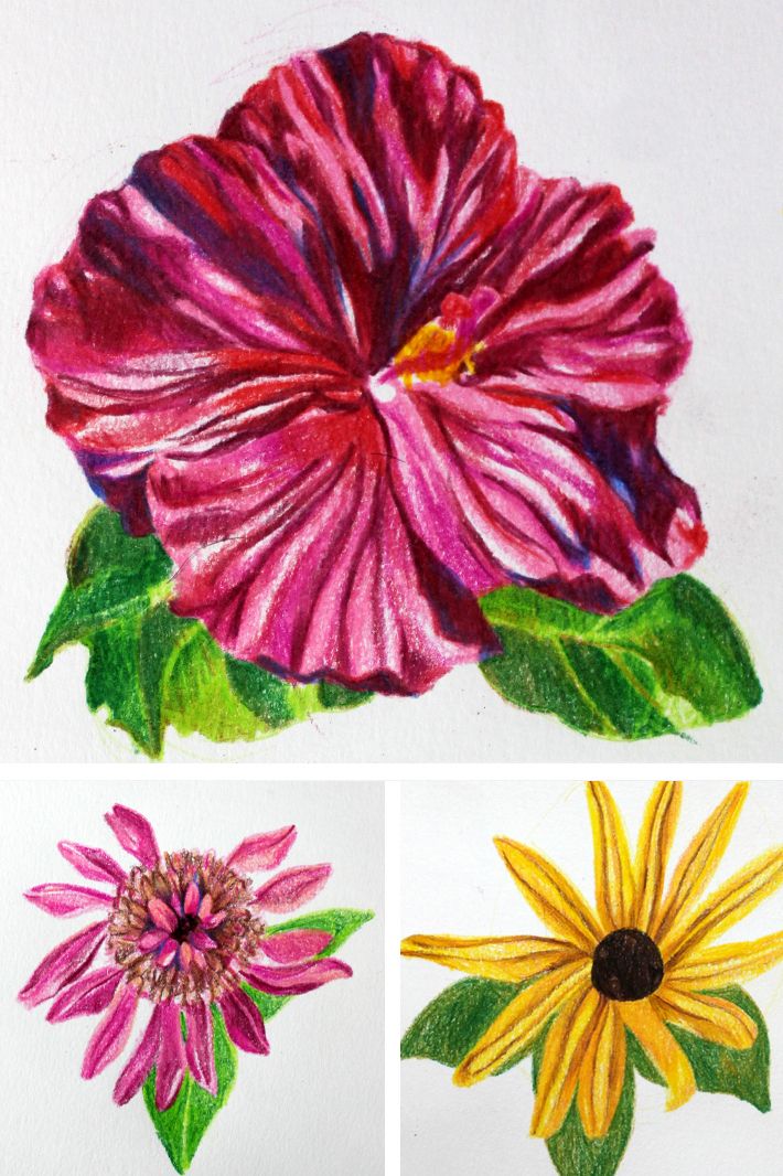 710x1066 Diy Dress Up Sewing Patterns Colored Pencils Drawing Flowers - Color Drawing Flowers