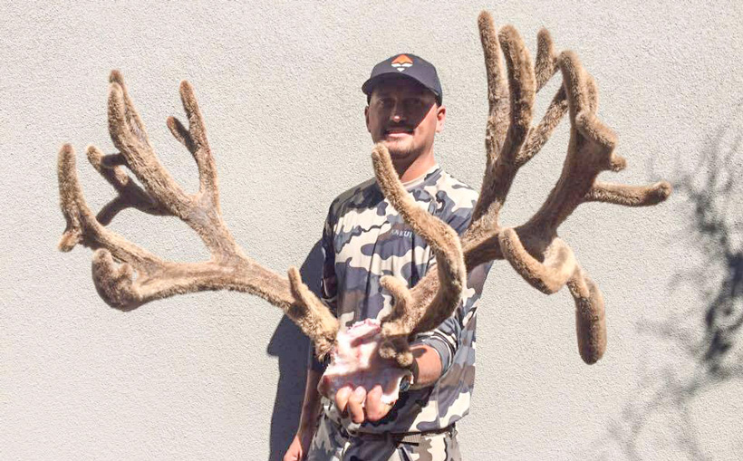 820x509 Drawing To Win A Colorado Governor's Mule Deer Tag Gohunt - Colorado Drawing