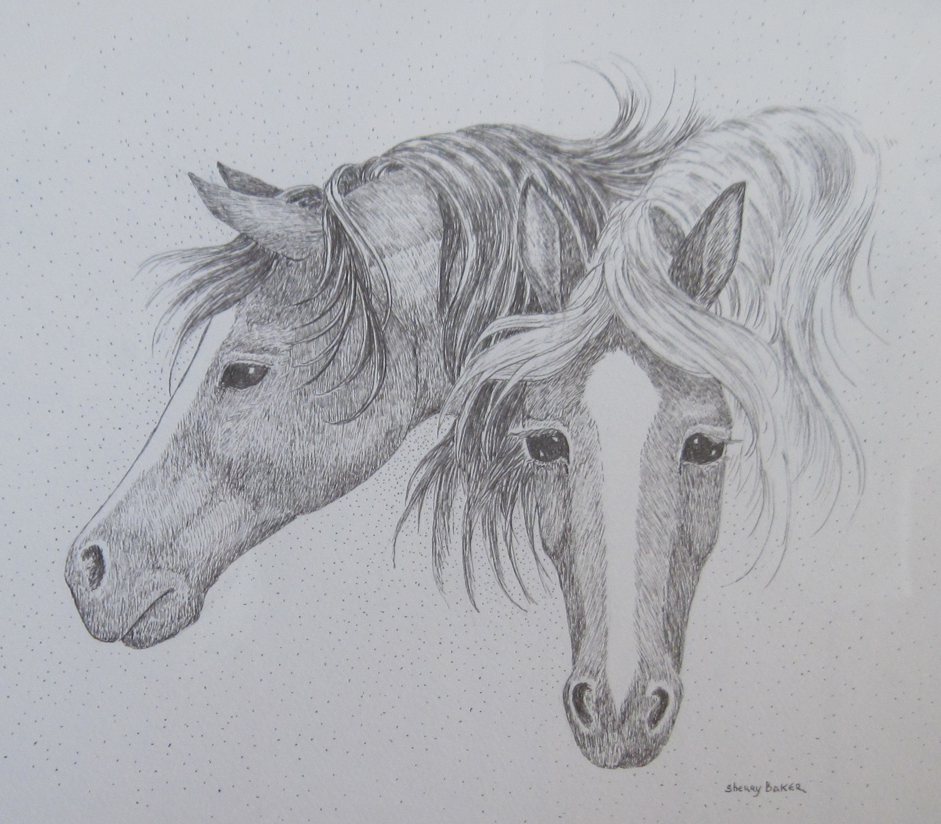 1842x1614 How To Draw Animals - Colorado Drawing