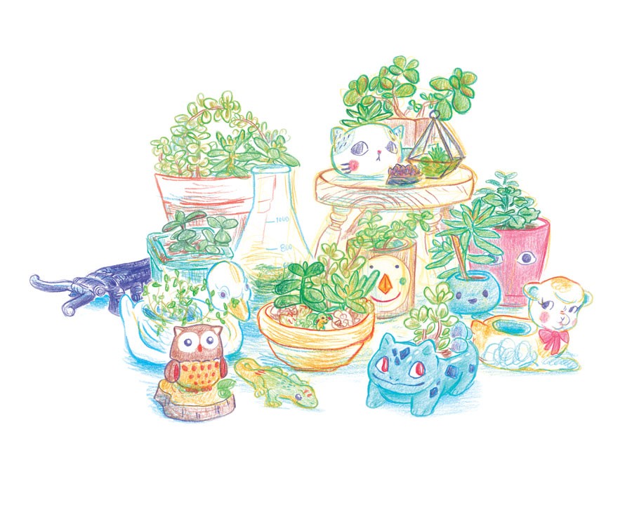 900x720 Kelsey Choo's Comics Draw From Her Hawaiian Upbringing Visual - Colorado Drawing