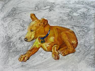375x280 original colored pencil drawing dog sitting on sand drawing - Colored Charcoal Drawing