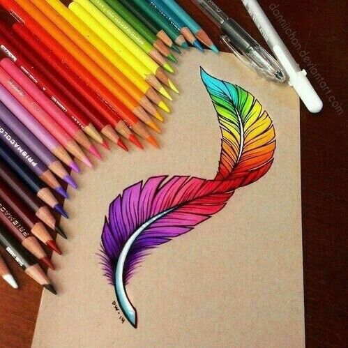499x499 a colourful feather is the best kind of feather drawings - Colored Drawings