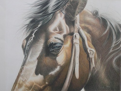 500x376 how to finish a colored pencil drawing - Colored Pencil Drawings