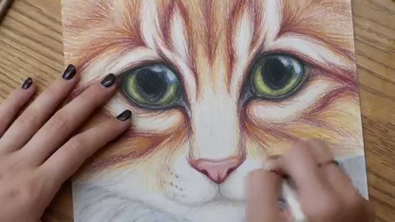 1280x720 kitty cat with big eyes colored pencil drawing - Colored Pencil Drawings