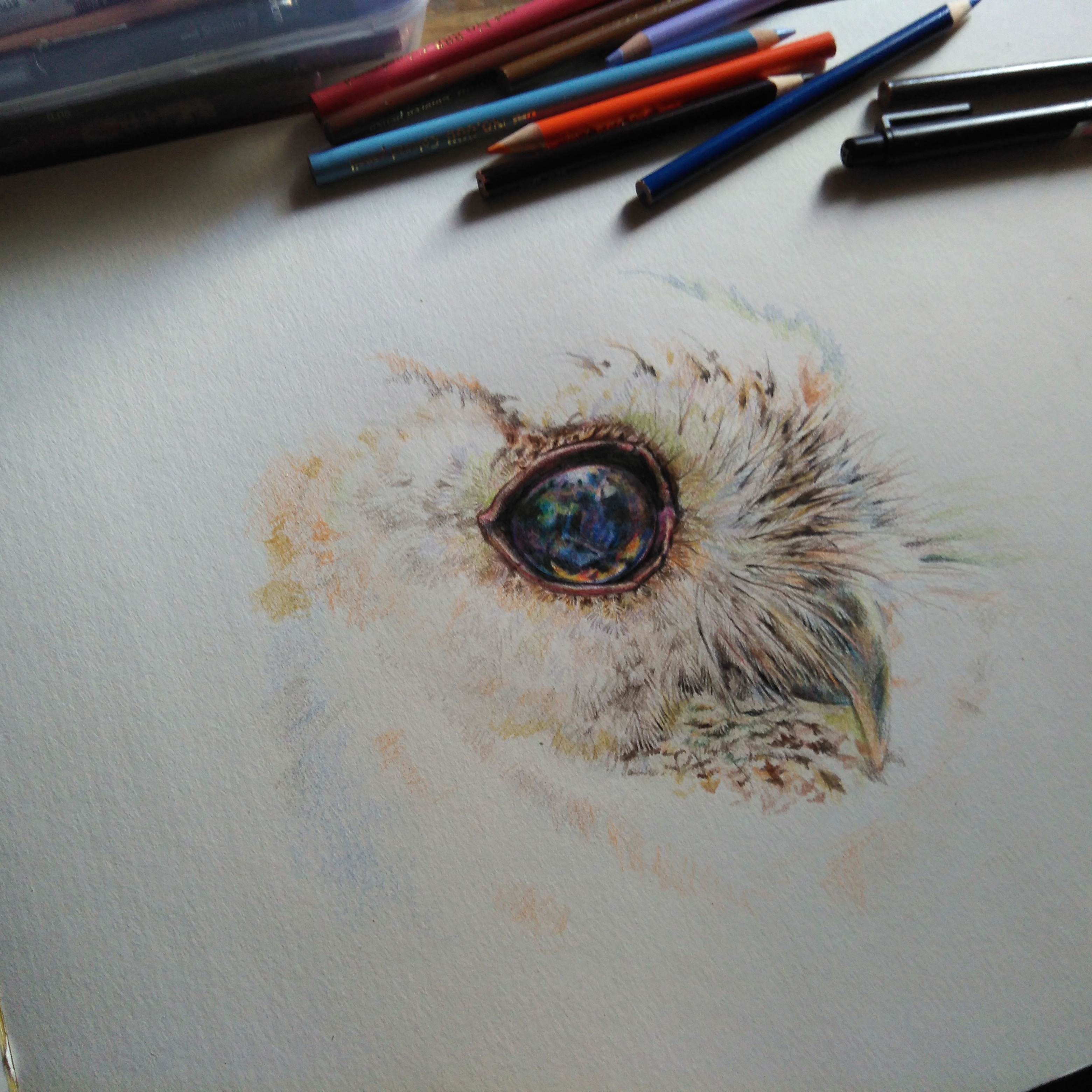 3120x3120 drawing realistic eyes with colored pencils - Colored Pencil Eye Drawing