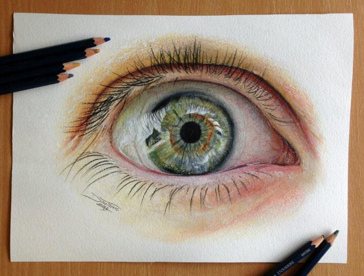 720x547 dino tomic eye color pencil drawing study feather of me - Colored Pencil Eye Drawing