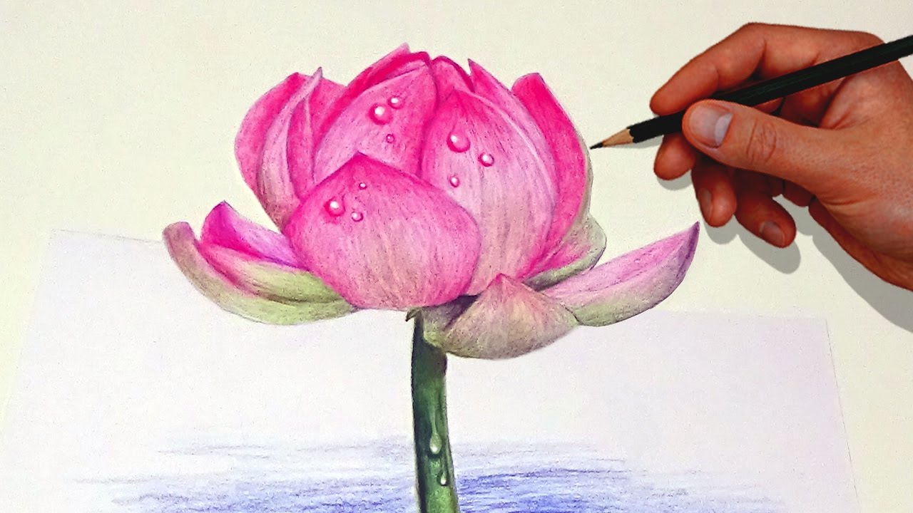 1280x720 Drawing A Lotus Flower With Simple Colored Pencils - Colored Pencil Flower Drawings