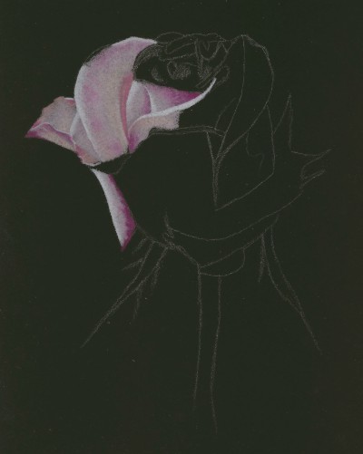 400x501 Rose Drawing Tutorial - Colored Pencil Flower Drawings