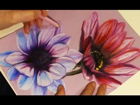 480x360 Speed Drawing - Colored Pencil Flower Drawings
