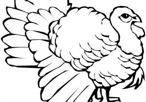 300x210 Turkey Drawing To Color Colored Turkey Drawing At Getdrawings - Colored Turkey Drawing