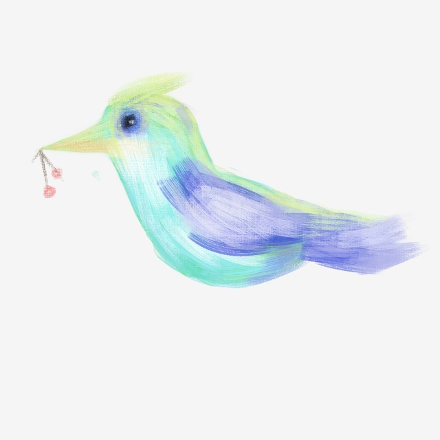 640x640 simple hand drawn colorful birds mouth with cherry elements design - Colorful Bird Drawing