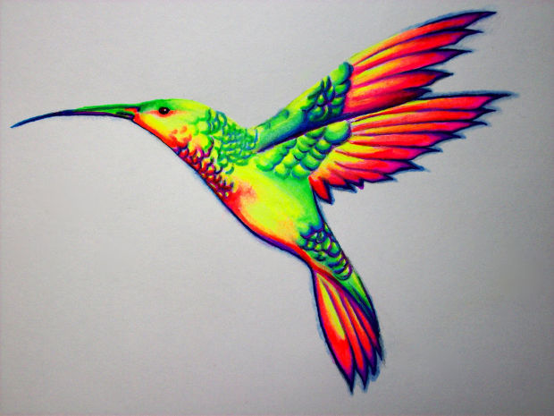 620x465 Bird Drawings, Art Ideas Design Trends - Colorful Bird Drawing