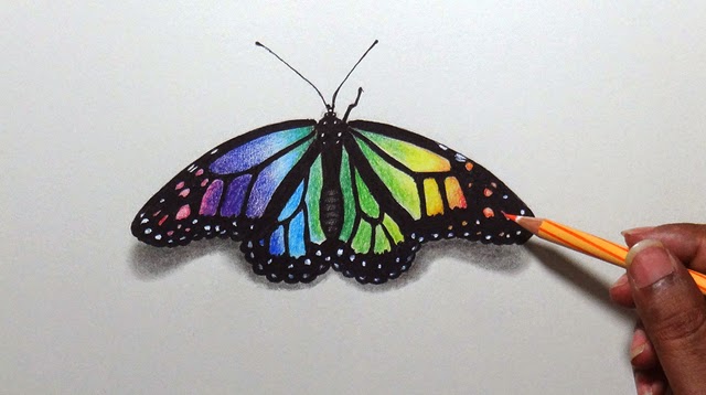 Colorful Butterfly Drawing at PaintingValley.com | Explore collection ...