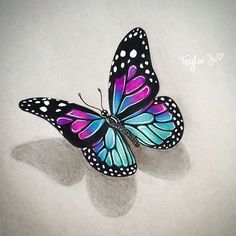 236x236 Butterfly Drawing Butterflies And Dragonflies - Colorful Butterfly Drawing