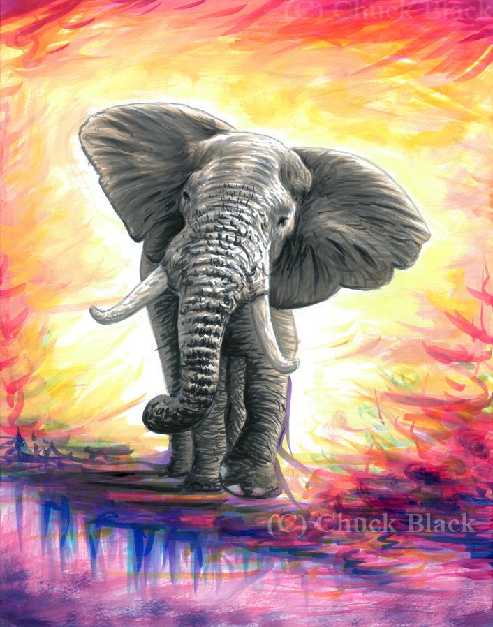 706x898 Details About Original Art - Colorful Elephant Drawing