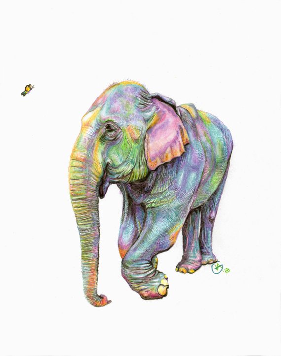 570x723 Elephant Painting Colorful Granny Kabu Rainbow Pastel Elephant Etsy - Colorful Elephant Drawing