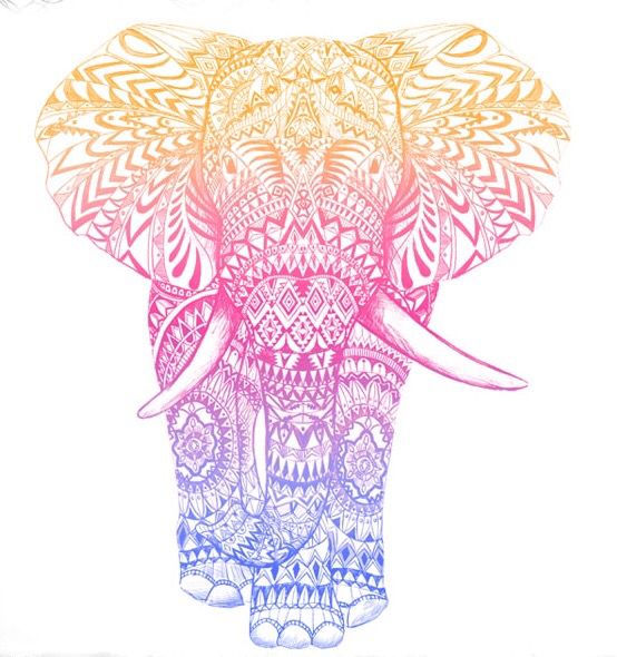 554x590 Elephant - Colorful Elephant Drawing