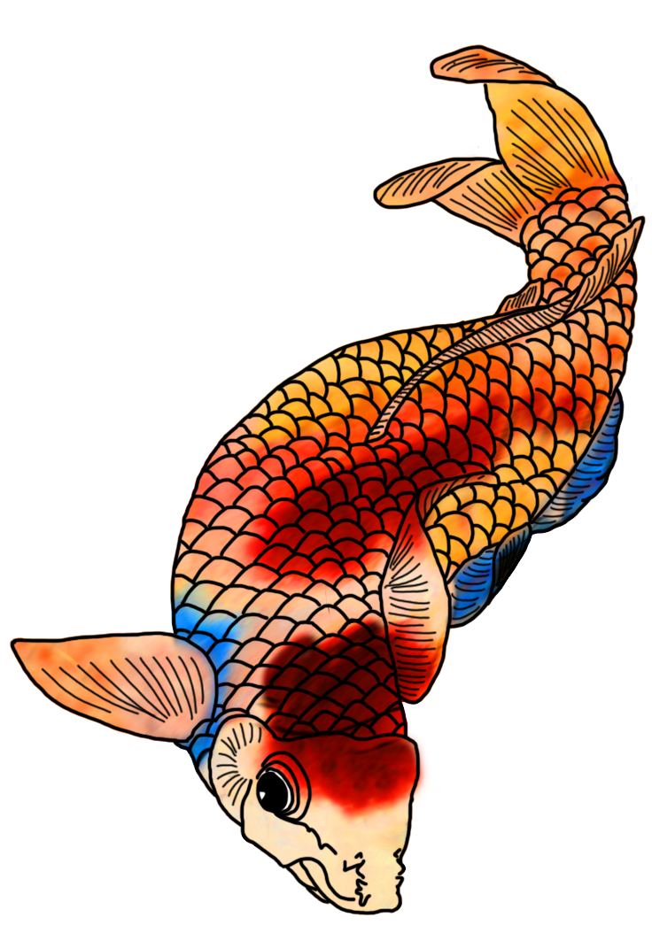 736x1063 Colorful Koi Fish Drawings - Colorful Fish Drawing