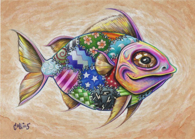 800x571 funky fish - Colorful Fish Drawing