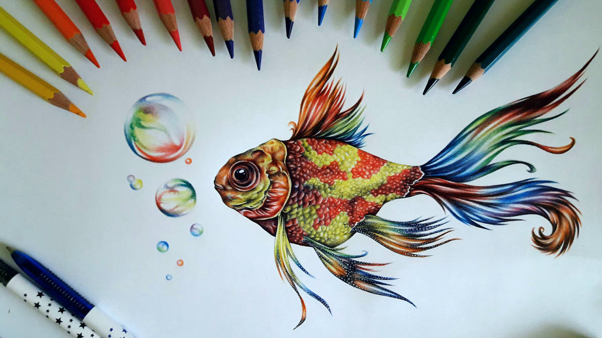 Colorful Fish Drawing at PaintingValley.com | Explore collection of ...