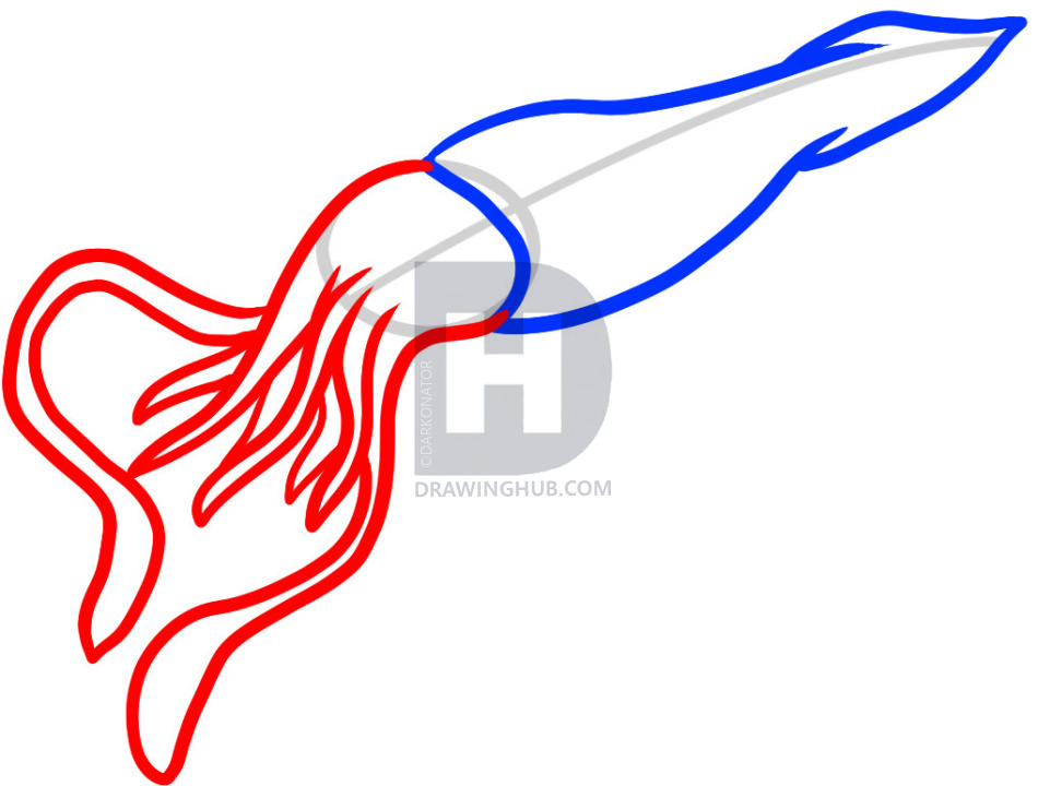 950x720 How To Draw A Giant Squid, Giant Squid, Step - Colossal Squid Drawing