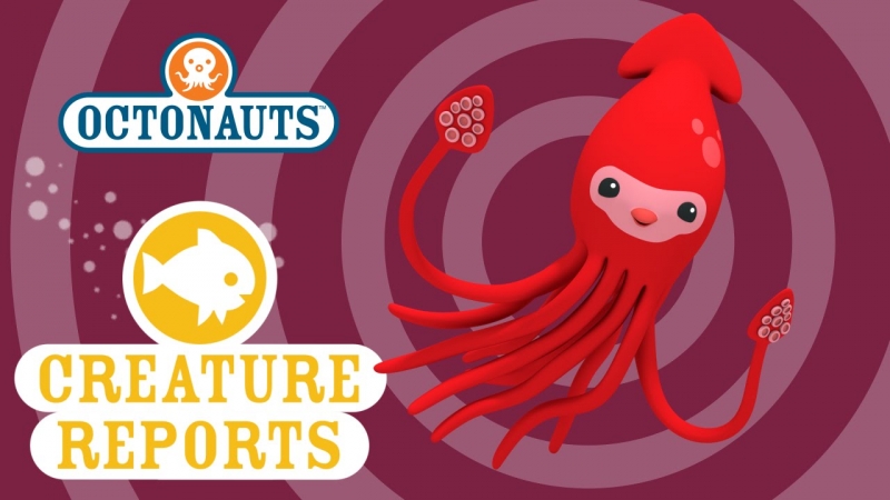 800x450 Octonauts Creature Report - Colossal Squid Drawing