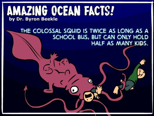 600x450 What Is The True Size Of Colossal Squid Deep Sea News - Colossal Squid Drawing