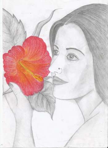 350x481 Jackhi Pencil Drawing - Colour Drawing