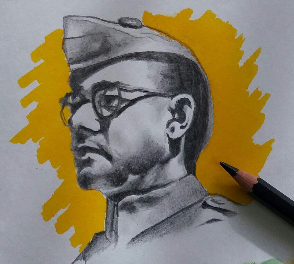 1024x919 Quick Minutes Pencil Colour Drawing Of Subhash Chandra Bose - Colour Drawing