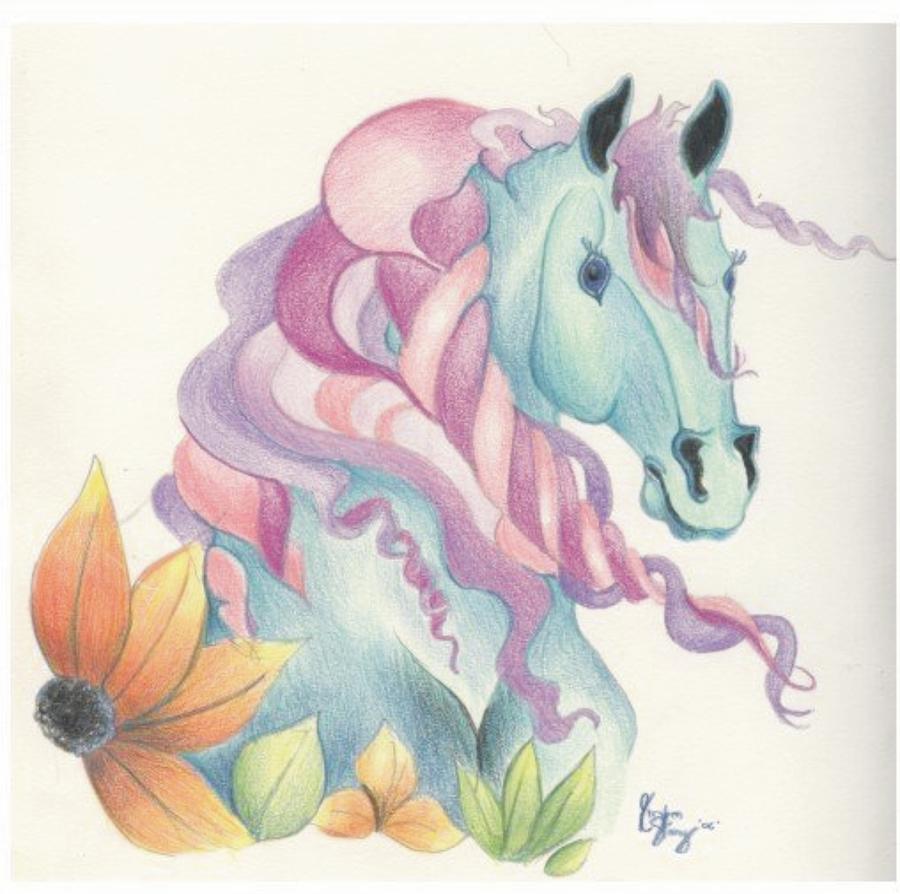 900x894 Horse Of A Different Colour Drawing - Colour Drawing Images