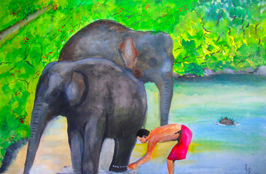 900x590 Bathing Time Water Colour Drawing Painting - Colour Drawing Images