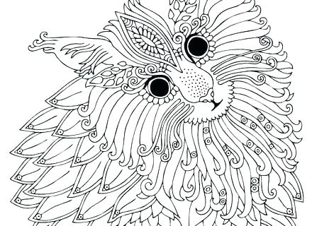 440x320 Sketchbook For Colored Pencils Best Pencil Drawing Books Colour - Colour Drawing Images