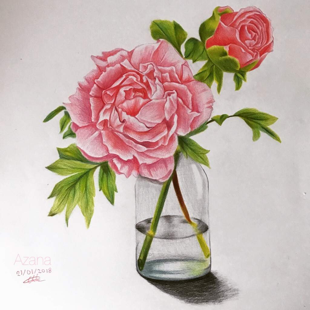 1024x1024 Flower Colour Sketch Amino - Colour Drawing Pictures Of Flowers
