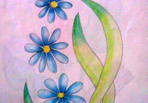 300x210 Flower Drawing Pencil Color - Colour Drawing Pictures Of Flowers