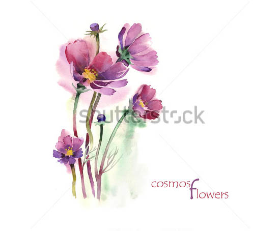 550x454 Water Colour Drawing - Colour Drawing Pictures Of Flowers