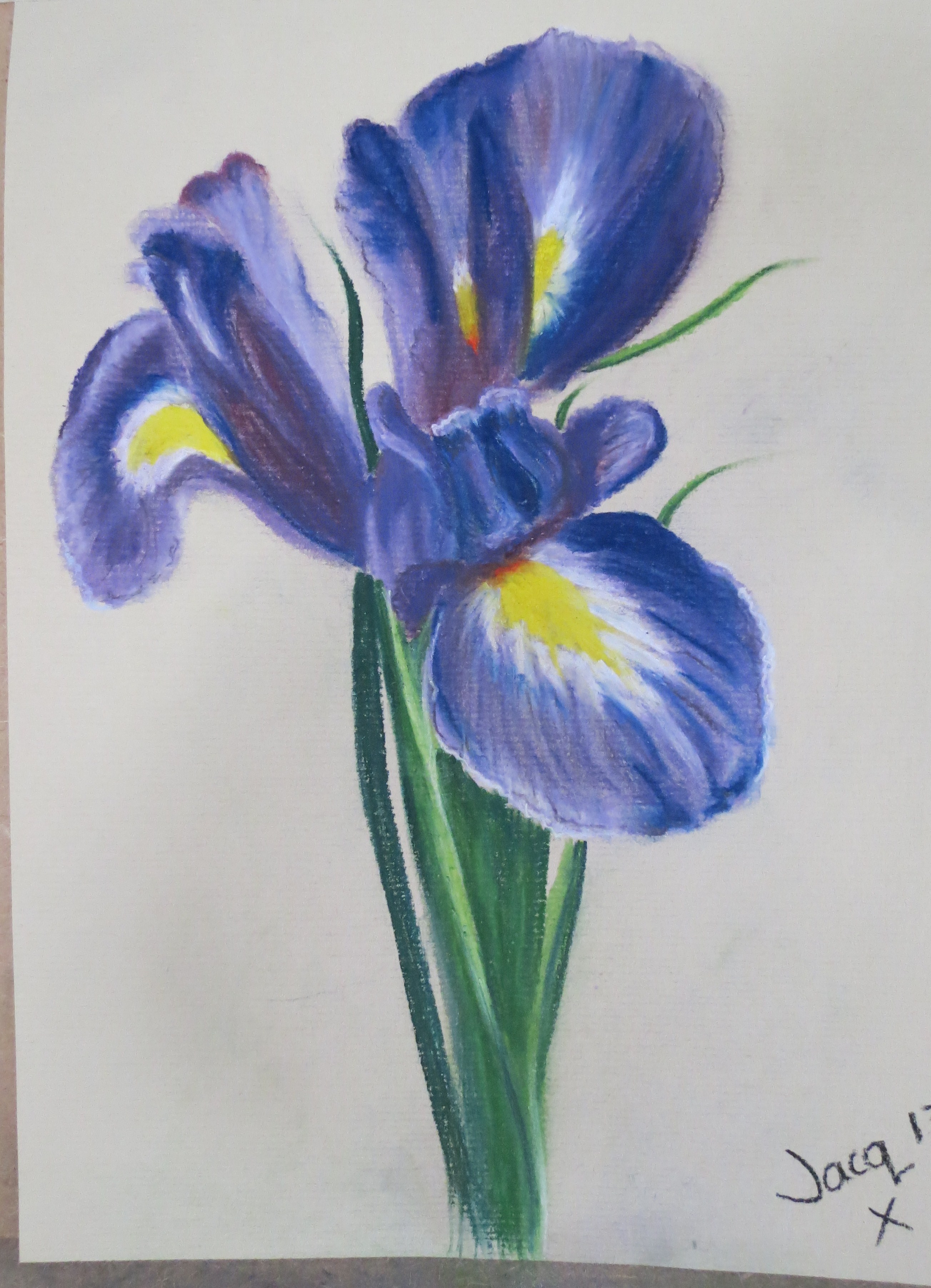 2607x3607 Exercise Drawing With Other Coloured Media Jacquelineyeomans - Colour Drawing Pictures Of Flowers