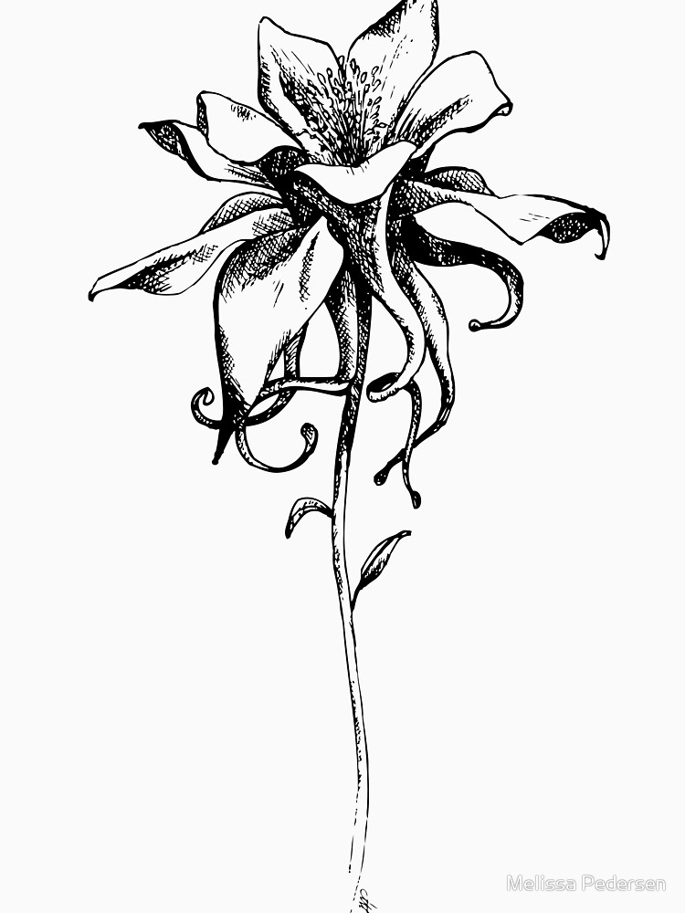 750x1000 columbine flower black and white art sketch t shirt - Columbine Flower Drawing