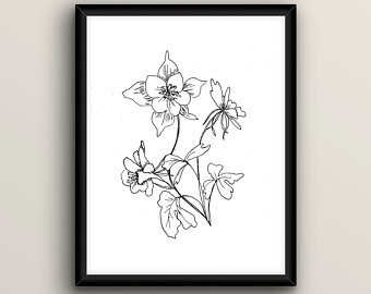 340x270 columbine drawing etsy - Columbine Flower Drawing