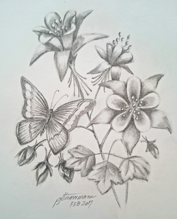 726x900 flowers - Columbine Flower Drawing