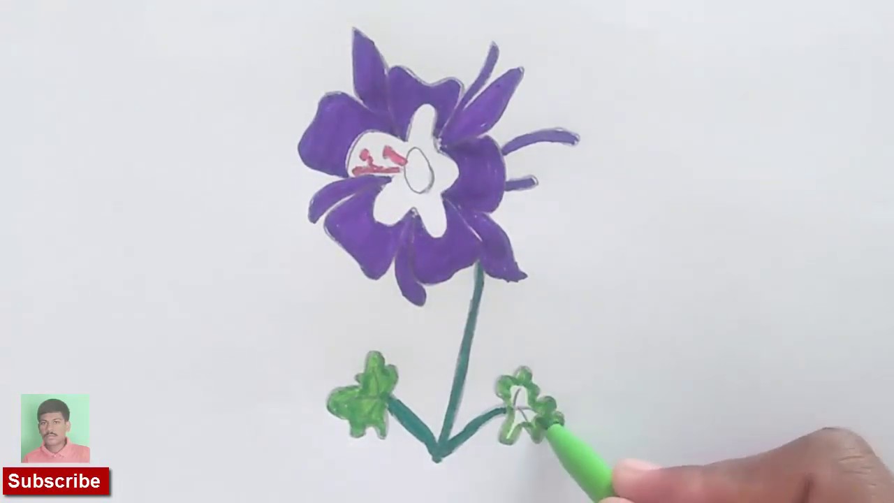 1280x720 how to draw columbine flower drawing for kids coloring pages video - Columbine Flower Drawing