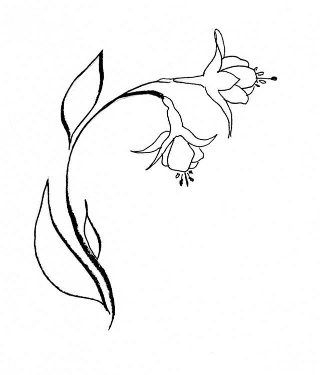 320x375 simple flower template - Columbine Flower Drawing