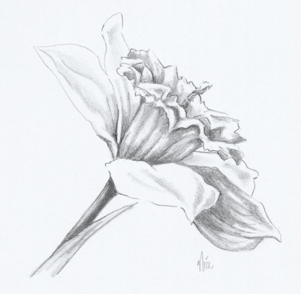 600x586 Video Download Combine Drawing Techniques - Combine Drawing