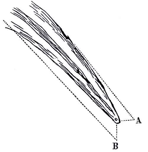 500x513  - Comet Drawing
