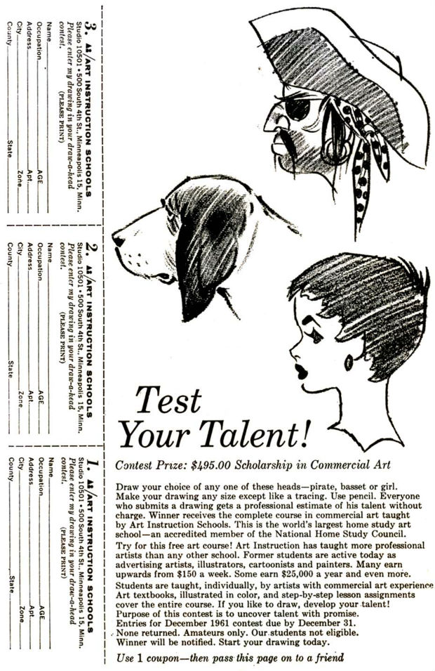 620x955 could you draw this turtle mental floss - Commercial Drawing