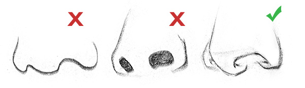 600x173 how to draw a nose anatomy and structure proko - Common Drawing